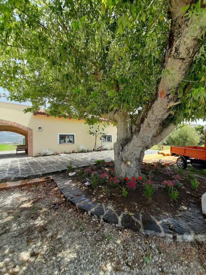 B&B Tenuta San Michele Capaccio Exterior photo